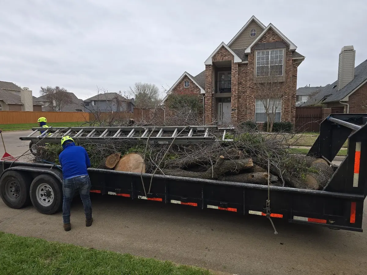 Expert Tree Removal with proper safety equipment in Cave Springs